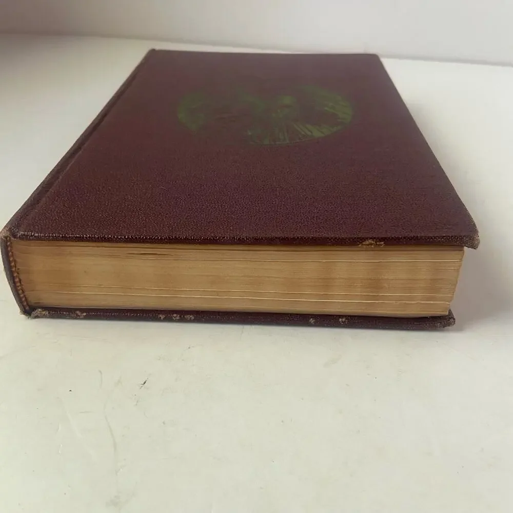 The Children's Classics Heidi John C Winston Collectible USA 1924 Antique